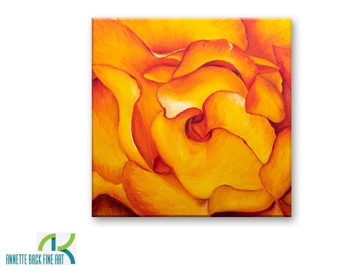 Fire & Rose by Annette Back - 20x20-Original Oil on Canvas-annettebackart