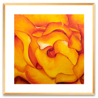 Fire & Rose - Framed Print-Framed Print-annettebackart